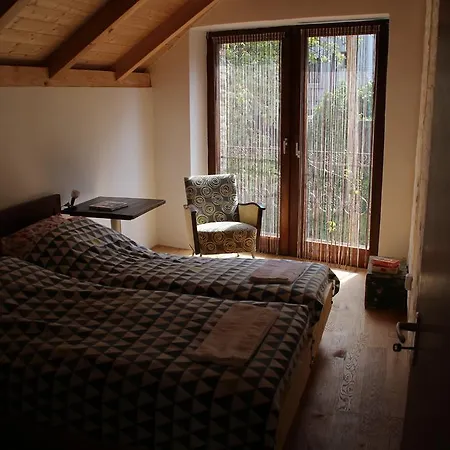 Cirfandli Vendeghaz *